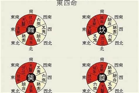 东四命西四命算法|阳宅风水 “东四命，西四命”计算方法及如何选择楼层（高楼）或独。